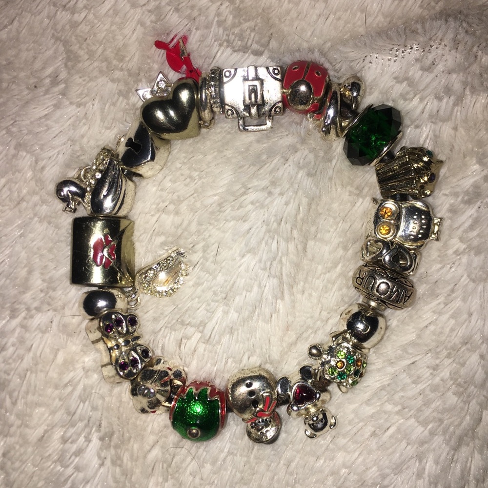 Charms and Bracelet